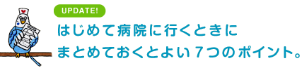はじめて病院に行くときに まとめておくとよい 7つのポイント。