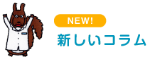 新しいコラム