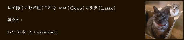 にて隊（こむぎ組）28号　ココ（Coco）と（Latte）
紹介文：
ハンドルネーム：nanomaco