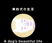 美的犬の生活