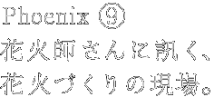 Phoenix-X@ԉΎtɐuAԉ΂Â̌B