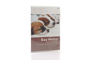 Say Hello! DVD