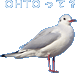 OHTO���āA�ȂɁH