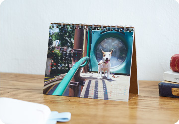 １年ぶんの「気まぐれカメら」から選んだ愛犬ブイヨンの写真、15枚。