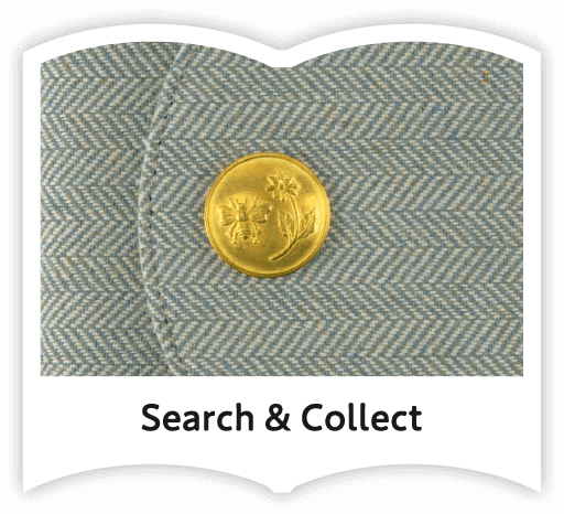 Search & Collect