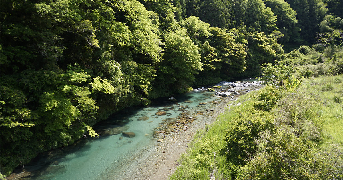 tretreの によどヒノキウォーター。 - tretreの摘み草ブレンドティー