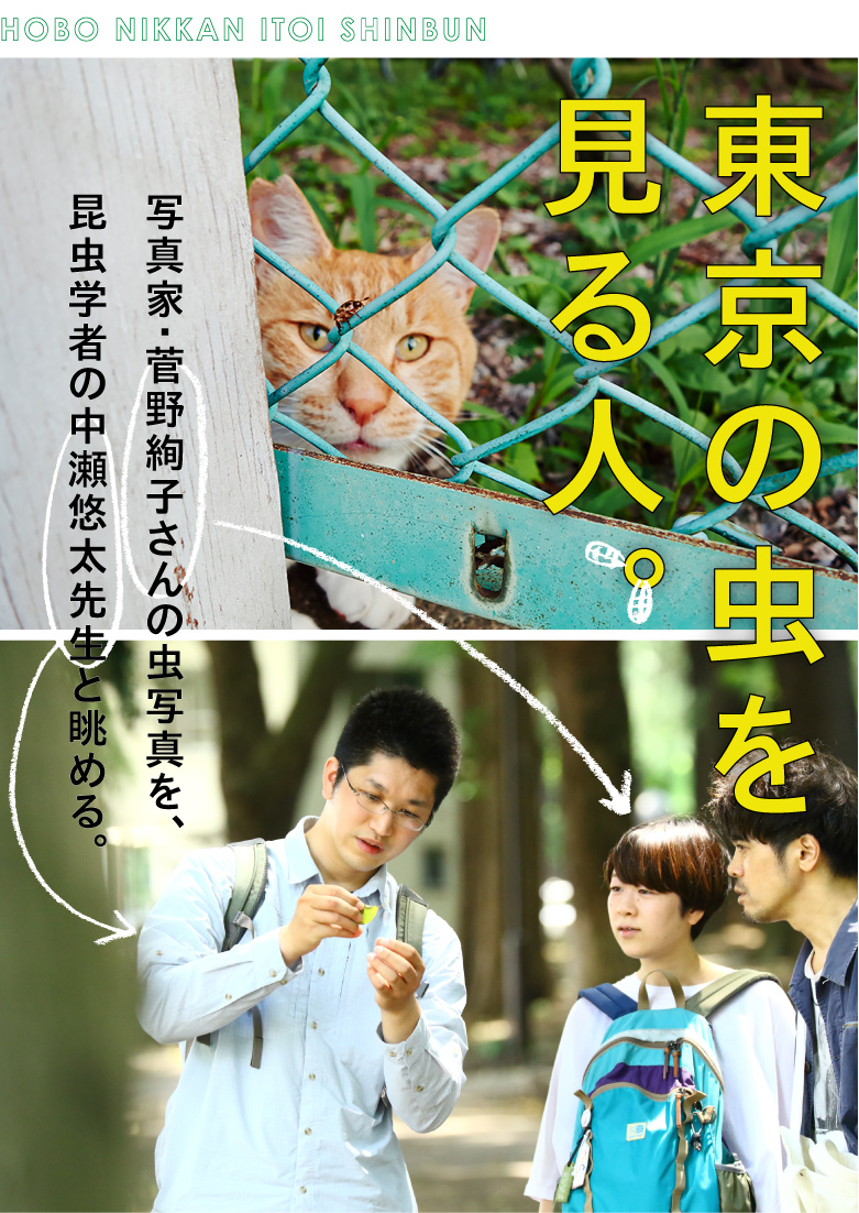 東京の虫を見る人。　写真家・菅野絢子さんの虫写真を、昆虫学者の中瀬悠太先生と眺める。