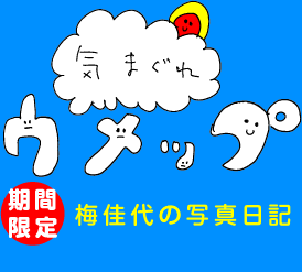 気まぐれウメップ