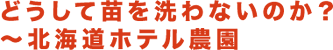 �i�c�_�@�ɂ��z�e���_����2�����a���I