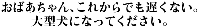 お父さんをゲストにお迎えして ぜひ話を聞いてみたいので、 こんど戻ってきたら連絡ください。