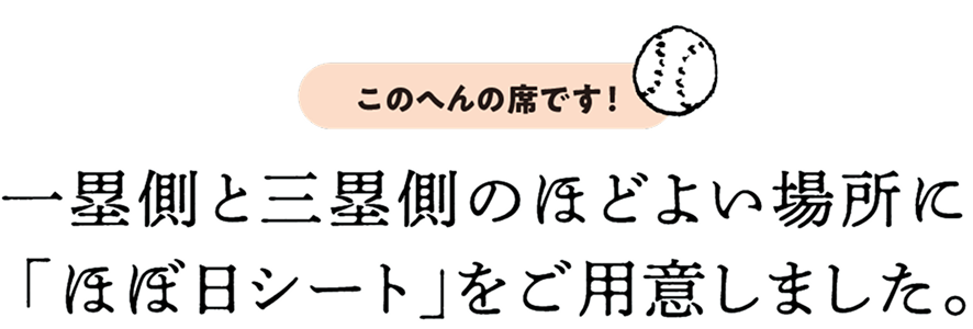 一塁側と三塁側のほどよい場所に
「ほぼ日シート」をご用意しました。