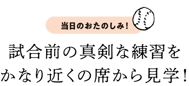 試合前の真剣な練習をかなり近くの席から見学!