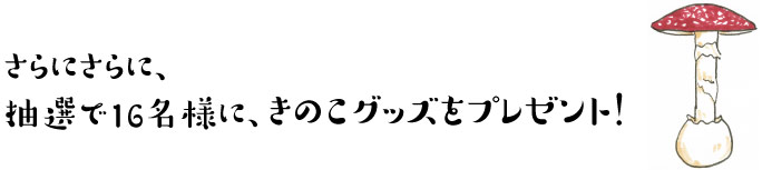 さらにさらに、
抽選で16名様に、きのこグッズをプレゼント！