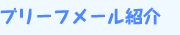 ブリーフメール紹介