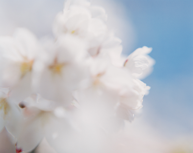 スクリーンショット 2016-05-04 17.02.15