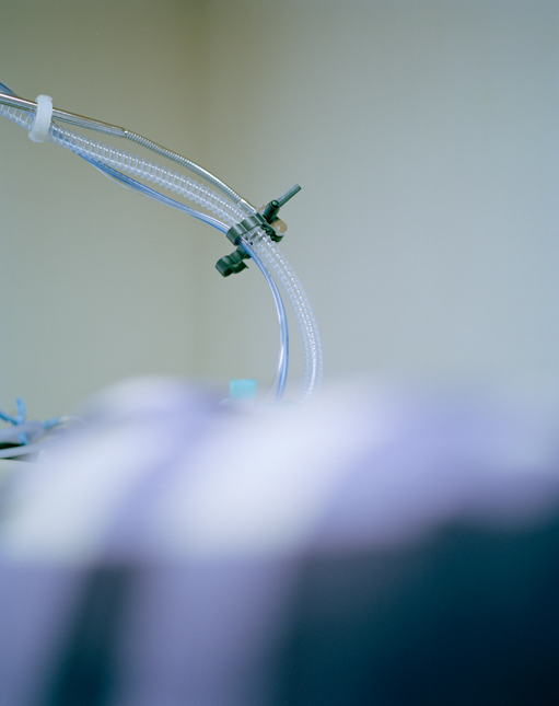 スクリーンショット 2016-05-04 17.02.38