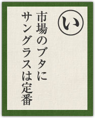 市場のブタに サングラスは定番 市場のブタに サングラスは定番