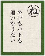 ネコもハトも 追いかけたい ネコもハトも 追いかけたい