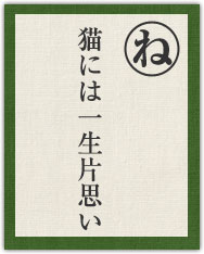 猫には一生片思い 猫には一生片思い