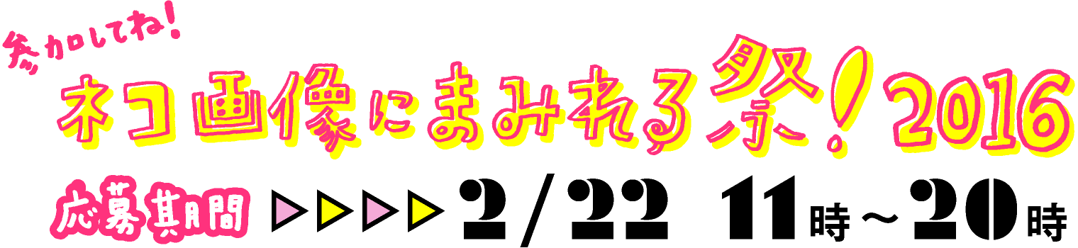ネコの画像にまみれる祭！2016応募期間：2/22 11時～20時