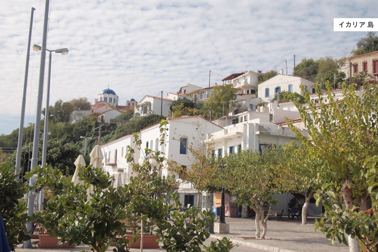 ギリシャの猫100匹 ほぼ日刊イトイ新聞