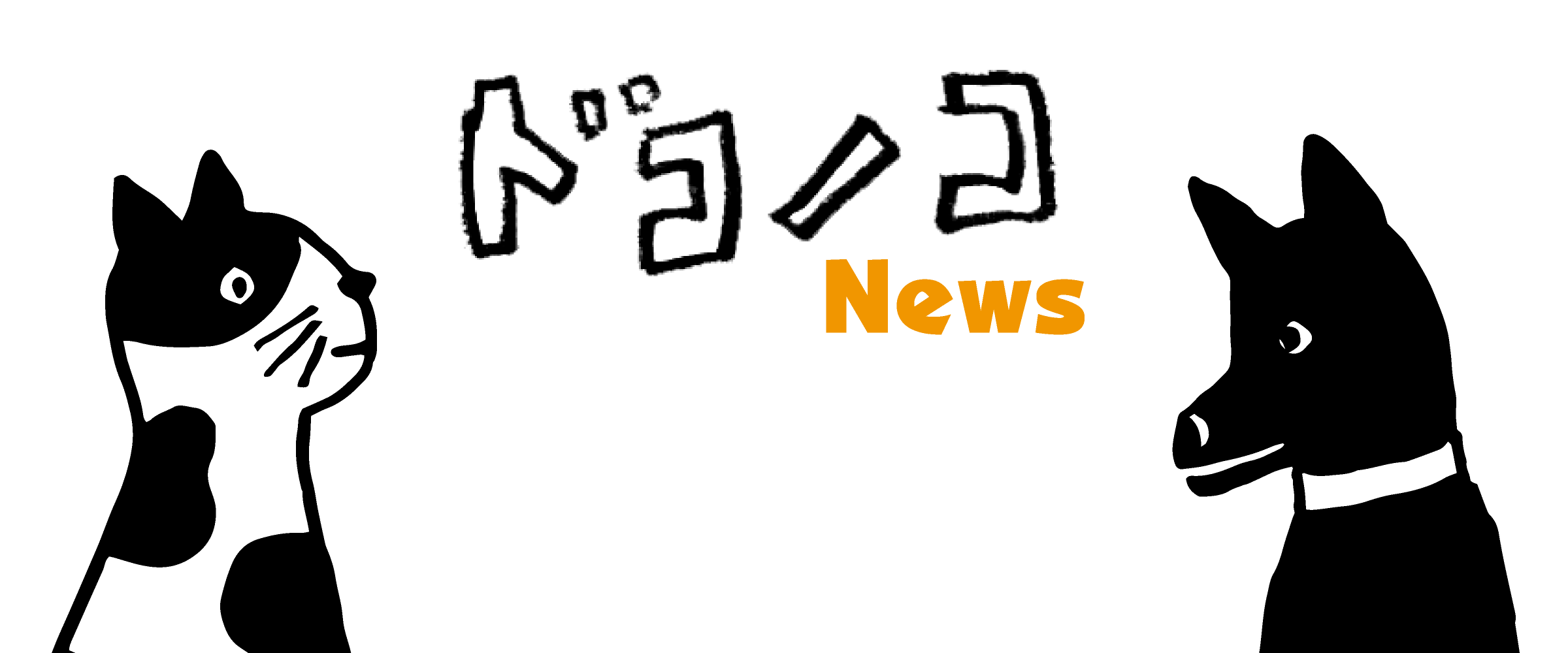 ドコノコNews ほぼ日刊イトイ新聞