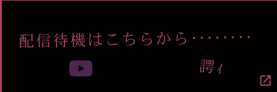 配信待機はこちらから‥‥‥‥