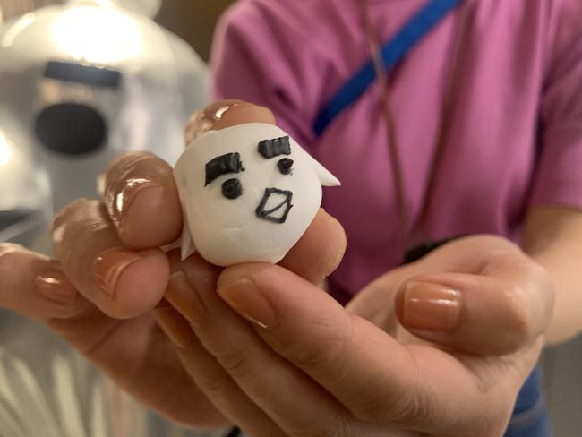 ほっしーの描いたシジュシロ