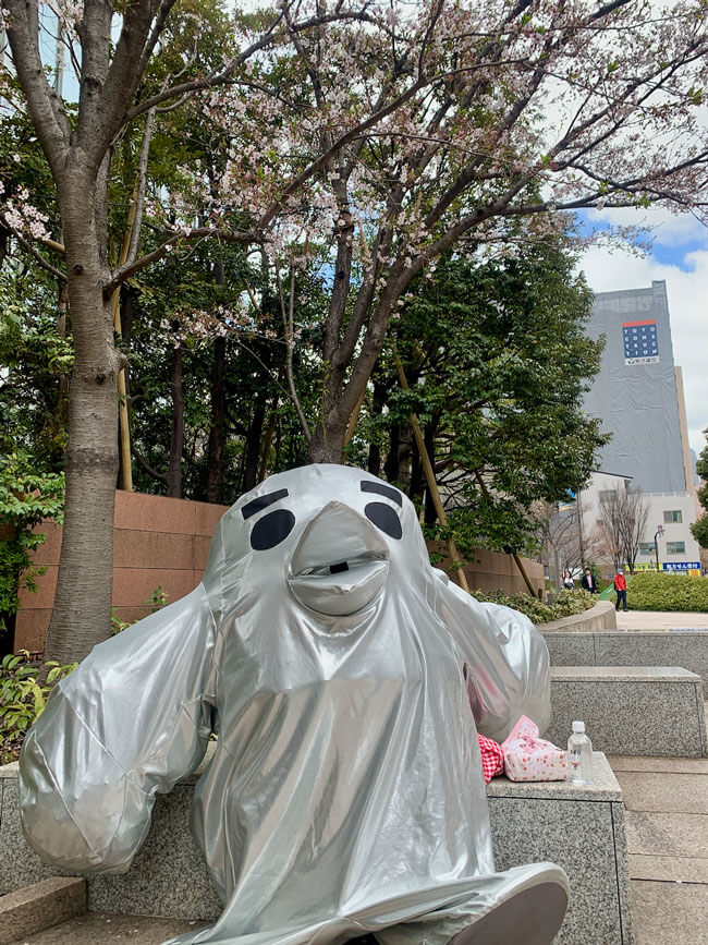 葉の桜を見上げるシジュ