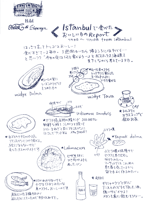 Istanbul�ŐH�ׂ�������������Report