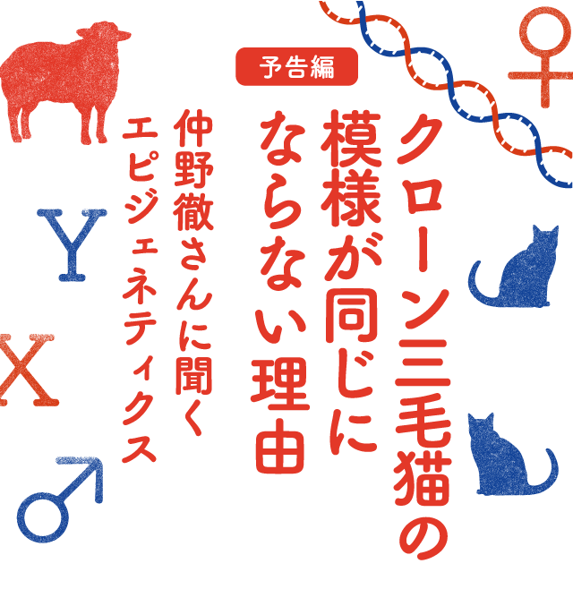 予告編 クローン三毛猫の模様が同じにならない理由 仲野徹さんに聞くエピジェネティクス