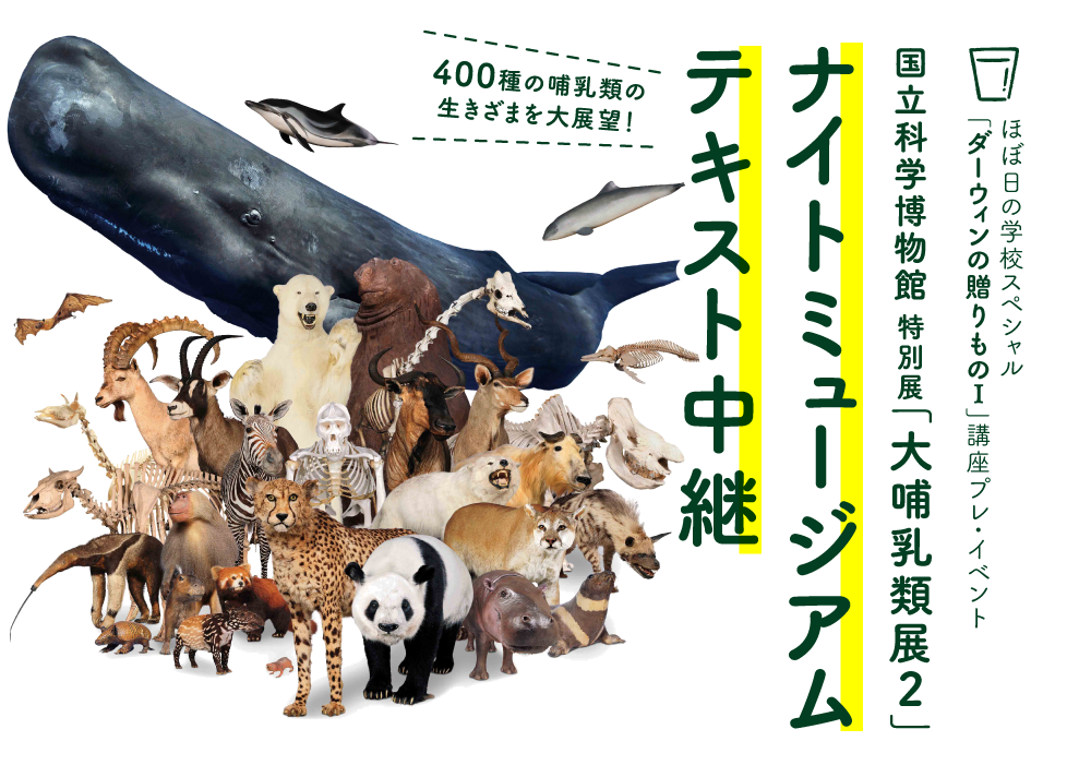 قړ̊wZXyV@u_[EB̑́@IvuvECxg@400̚Mނ̐܂W]I@ȊwٓʓWuMޓWQviCg~[WAEeLXgp