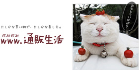 ◻️イワタ◻️しとね◻️通販生活◻️ ほぼ日刊イトイ新聞-プロモーションでごめんください。