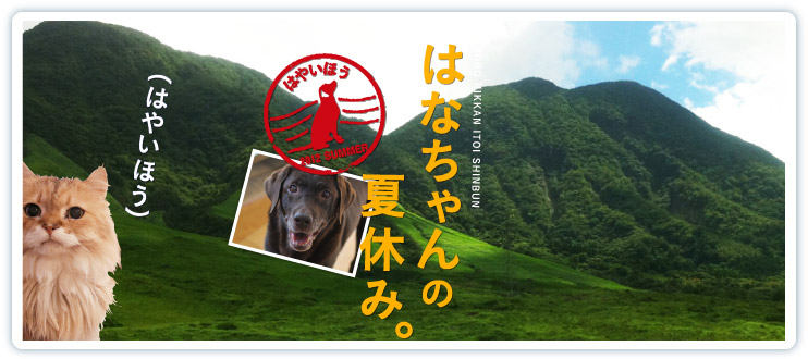 ͂Ȃ̉ċx݁Bi͂₢قj