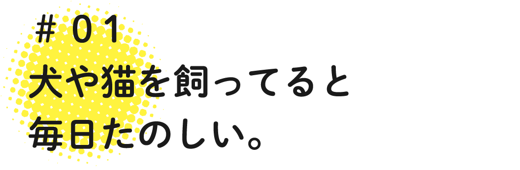 01 犬や猫を飼ってると毎日たのしい。