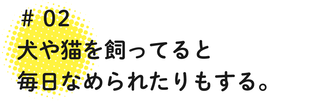 02 犬や猫を飼ってると毎日なめられたりもする。