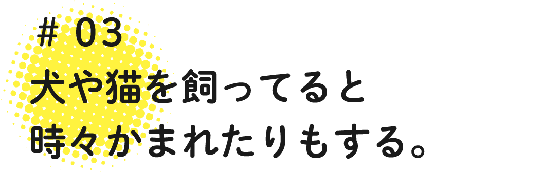 03 犬や猫を飼ってと時々かまれたりもする。