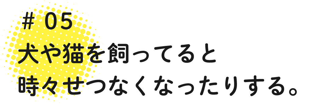 05 犬や猫を飼ってると時々せつなくなったりする。