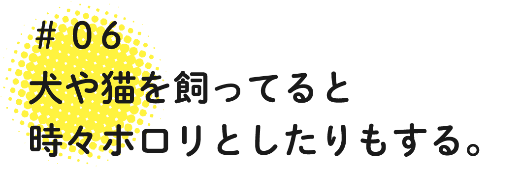 06 犬や猫を飼ってると時々ホロリとしたりもする。