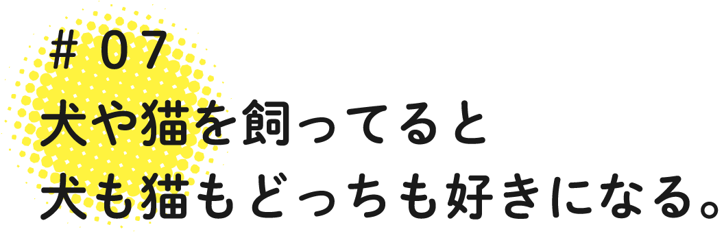 07 犬や猫を飼ってると犬も猫もどっちも好きになる。