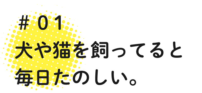 犬や猫を飼ってると毎日たのしい。