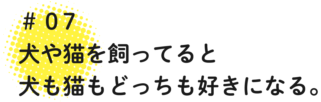 犬や猫を飼ってると犬も猫もどっちも好きになる。