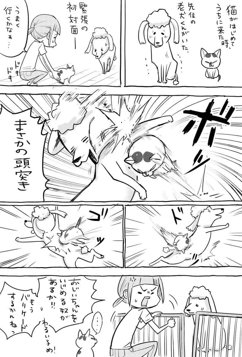 漫画の画像