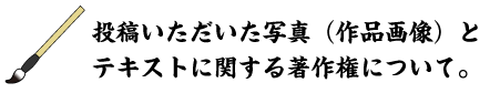 投稿いただいた写真（作品画像）とテキストに関する著作権について。