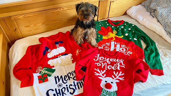 ほぼ日刊イトイ新聞 - バブー＆とのまりこのパリこれ！