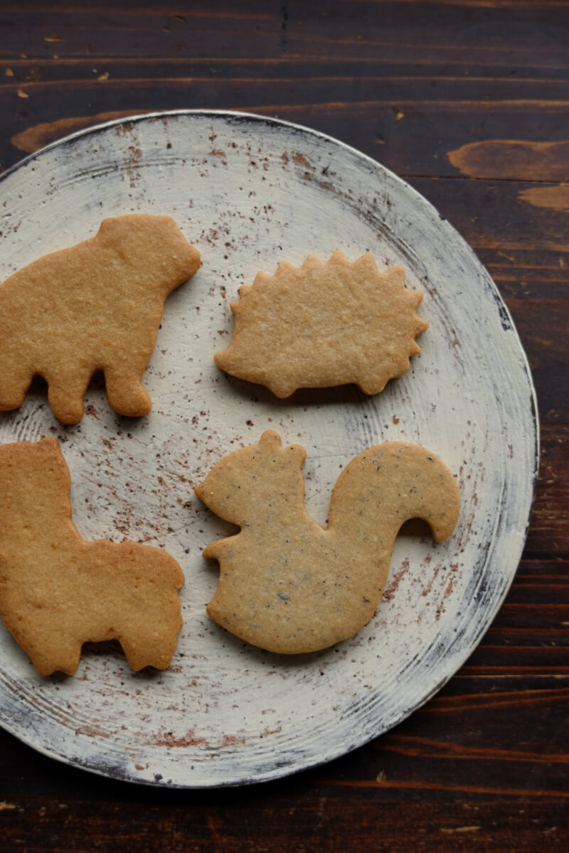 ⭐さくら※たばこ臭NG向け⭐SHARP デジタルノート ネイビー Amazon | シャープ カラー電子辞書 Brain 大学生・ビジネス