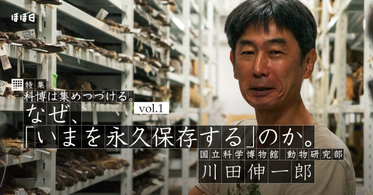 第6回 まりもに名前を付けるなら。 | 川崎まりもミステリー | ほぼ日