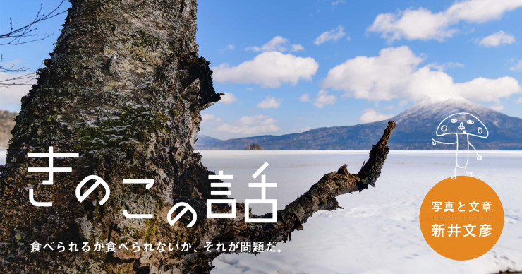 第3回 荒井良二さん、酒井駒子さん。 | 特集 編集とは何か。09 トムズ