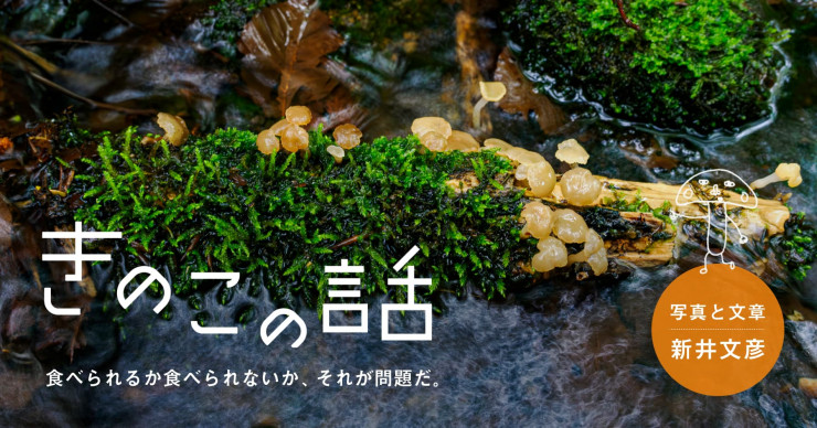 第4回 パリのこと、芹沢銈介さんのこと。 | 96歳の柚木沙弥郎さんが