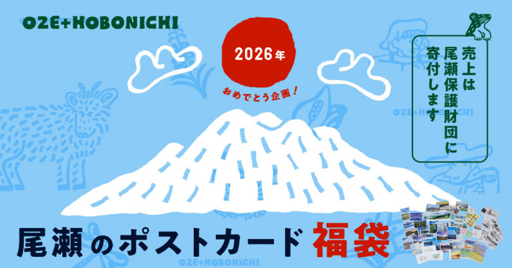 酒井駒子さんの数字。 One to Twelve | ほぼ日